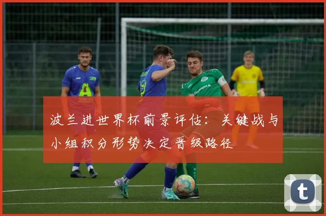 波兰进世界杯前景评估：关键战与小组积分形势决定晋级路径