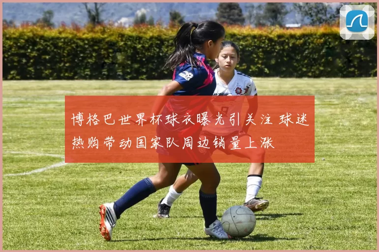 博格巴世界杯球衣曝光引关注 球迷热购带动国家队周边销量上涨