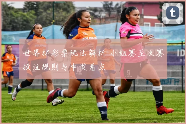 世界杯彩票玩法解析 小组赛至决赛投注规则与中奖看点