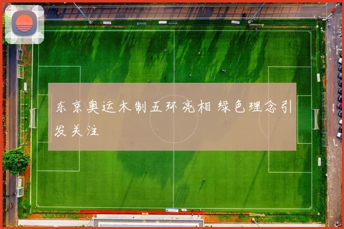 东京奥运木制五环亮相 绿色理念引发关注